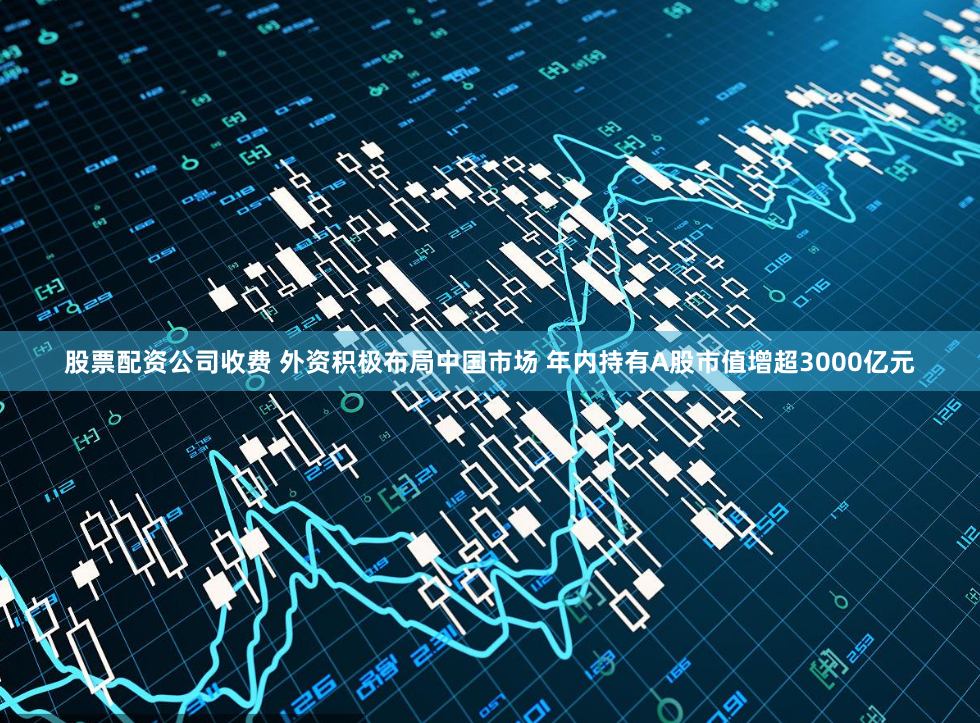 股票配资公司收费 外资积极布局中国市场 年内持有A股市值增超3000亿元