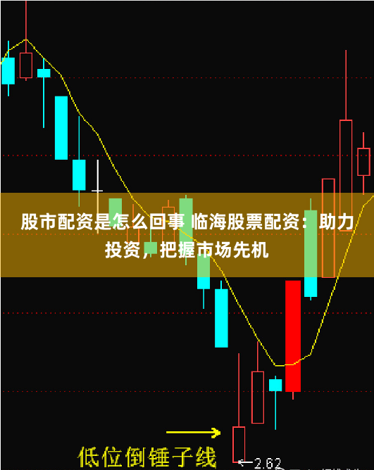 股市配资是怎么回事 临海股票配资：助力投资，把握市场先机