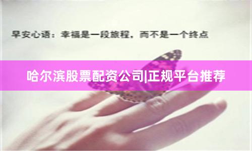 哈尔滨股票配资公司|正规平台推荐