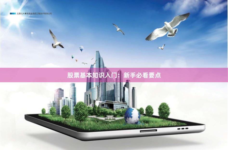 股票基本知识入门：新手必看要点