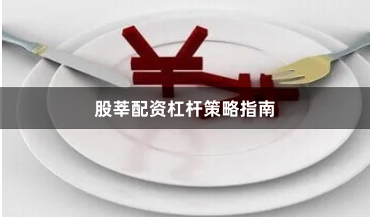 股莘配资杠杆策略指南